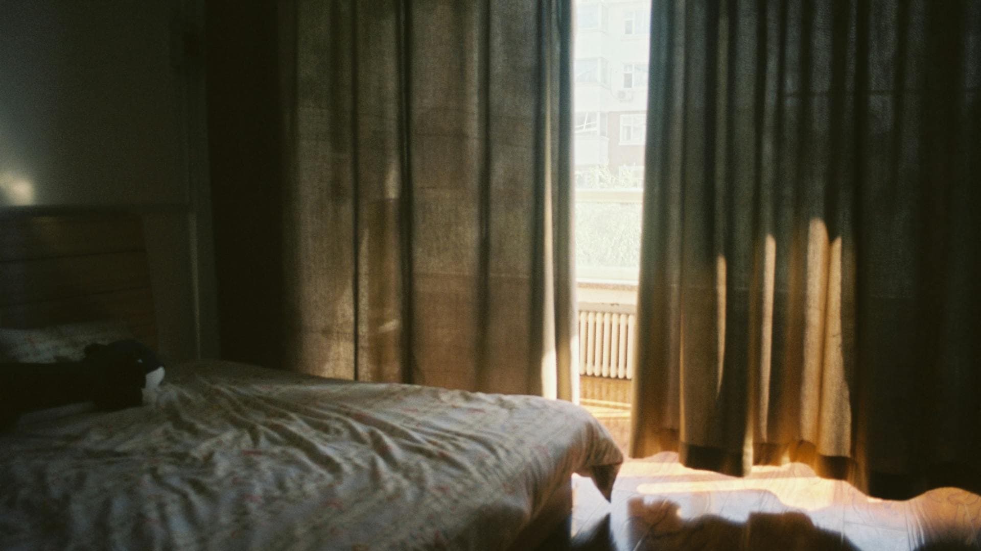 Warm morning sunlight filtering through bedroom curtains onto a cozy bed, illustrating the role of natural light in circadian rhythm regulation