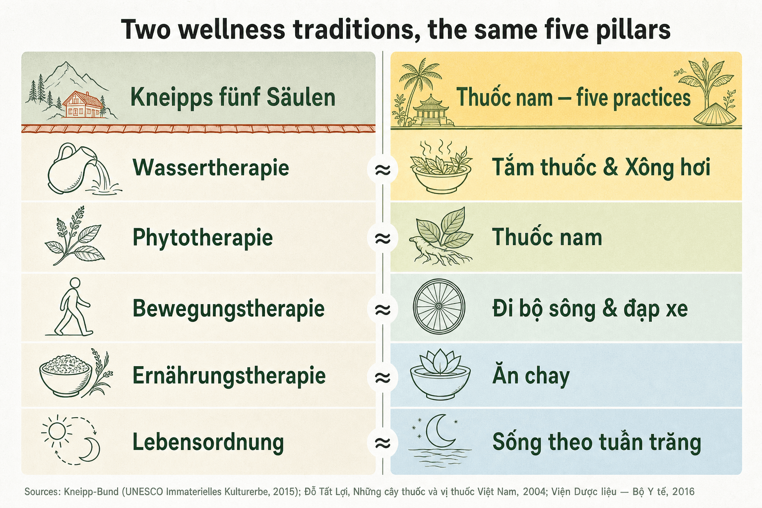 Comparison chart mapping Sebastian Kneipp's five wellness pillars (Wassertherapie, Phytotherapie, Bewegungstherapie, Ernährungstherapie, Lebensordnung) to their Vietnamese thuốc nam counterparts.