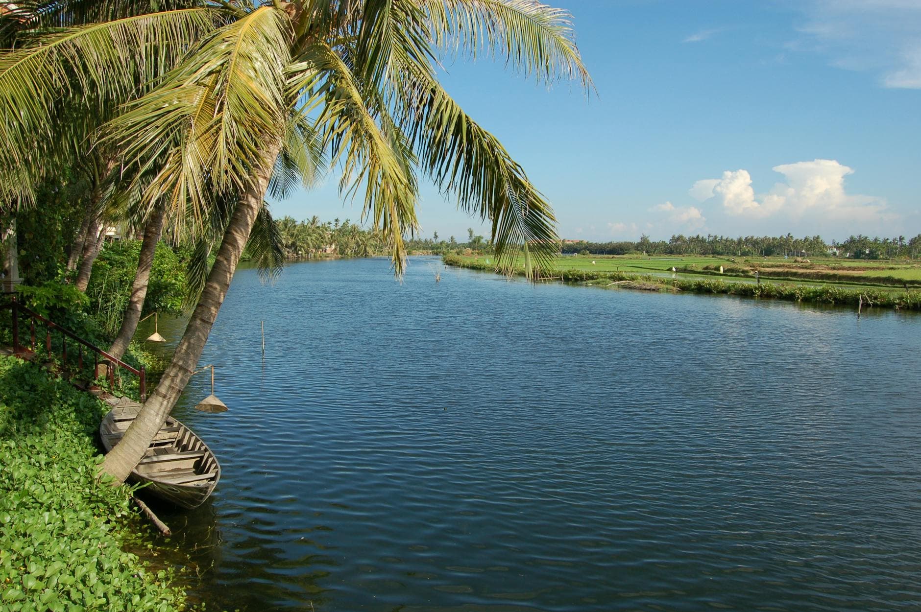 Calm tropical riverside in central Vietnam, jade-green water and palm fronds — the kind of low-stimulus environment our wellness retreats run on, on the Thu Bồn at Cẩm Nam (now Phường Hội An ward).