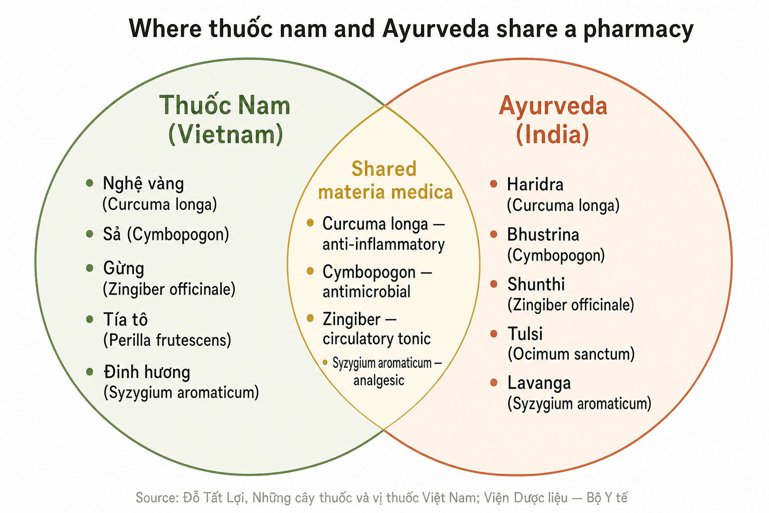 Venn diagram showing the shared pharmacopeia between Vietnamese thuốc nam and South Indian Ayurveda — turmeric (nghệ vàng / haridra), lemongrass (sả / bhustrina), ginger (gừng / shunthi) and clove (đinh hương / lavanga) — sourced from Đỗ Tất Lợi and Viện Dược liệu (Bộ Y tế).