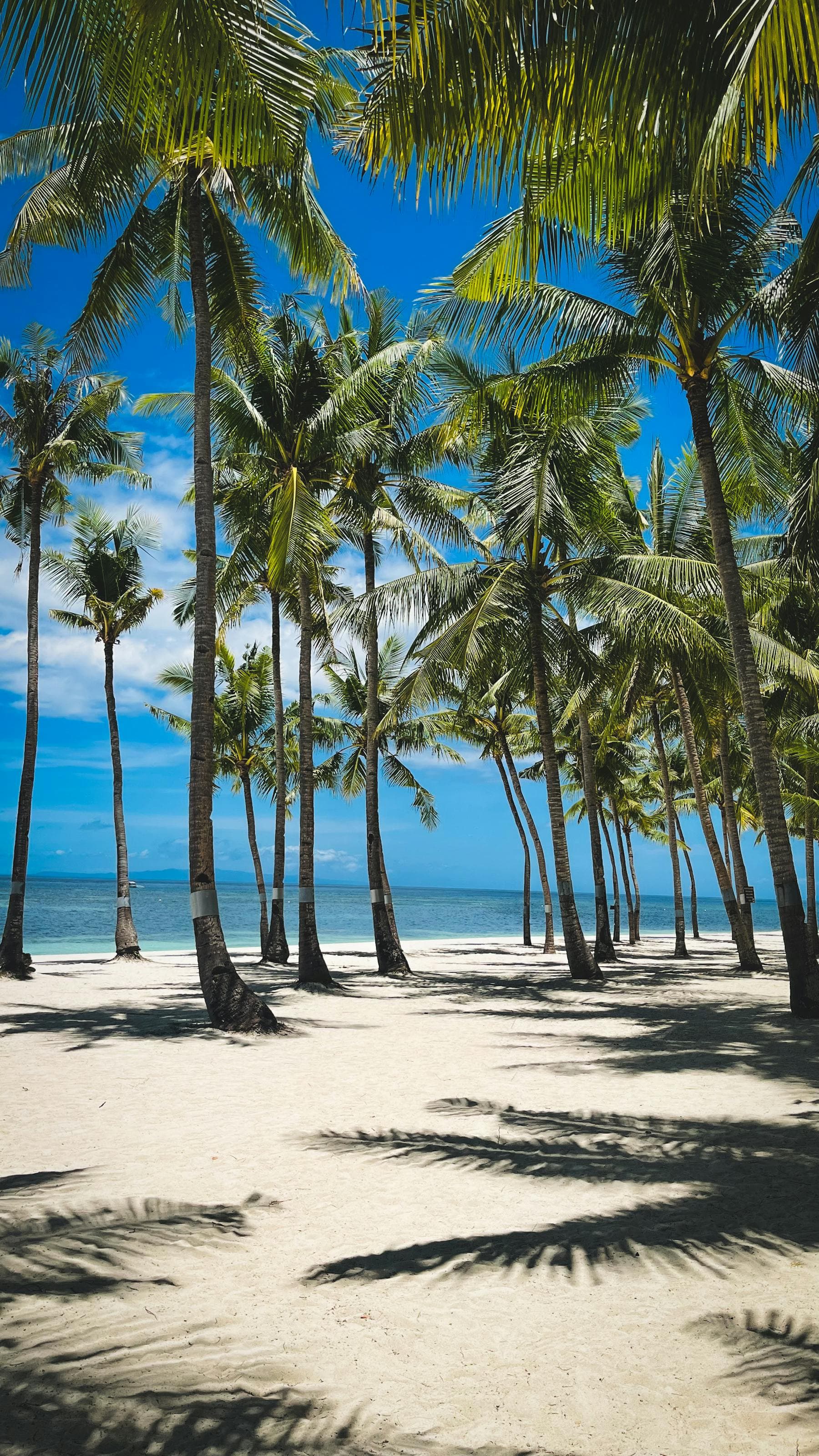 Traditionelle Korbboote an einem stillen Sandstrand bei Hội An — die Zentralküste, von der Fischer jeden Morgen ablegen