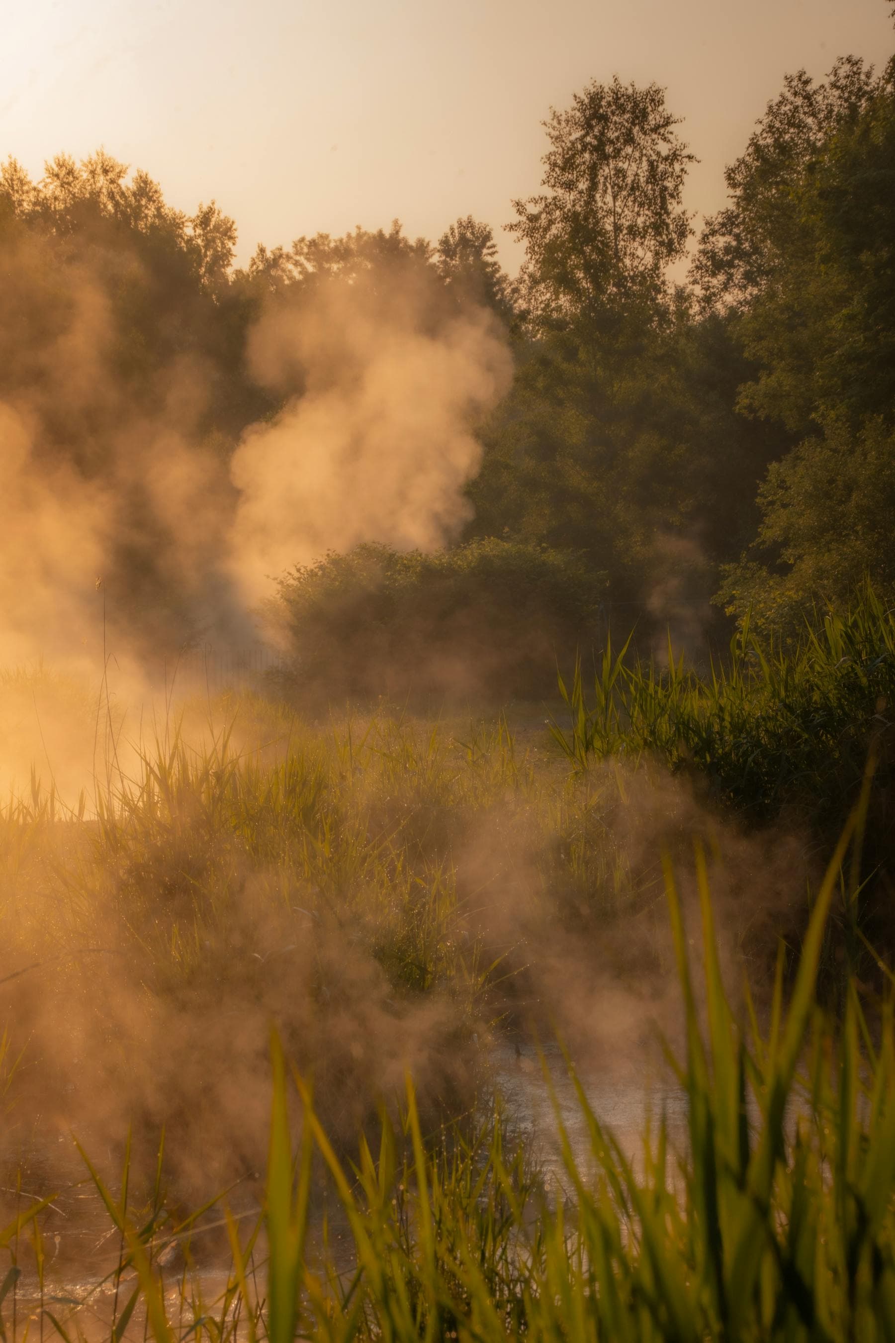 Misty quiet riverside at golden hour with reeds and still water — JOMO digital detox travel 2026 Hoi An riverside