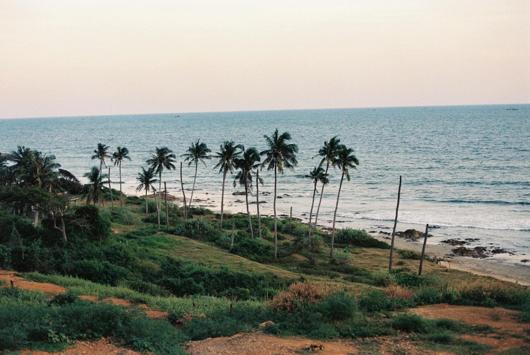Phan Thiet beach in Vietnam with coconut palms at dusk — soft travel 2026 Hoi An slow itinerary